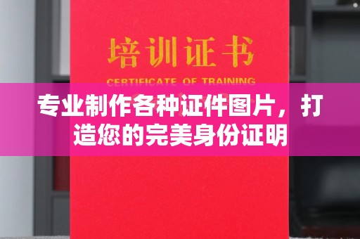 西岗专业制作各种证件图片，打造您的完美身份证明